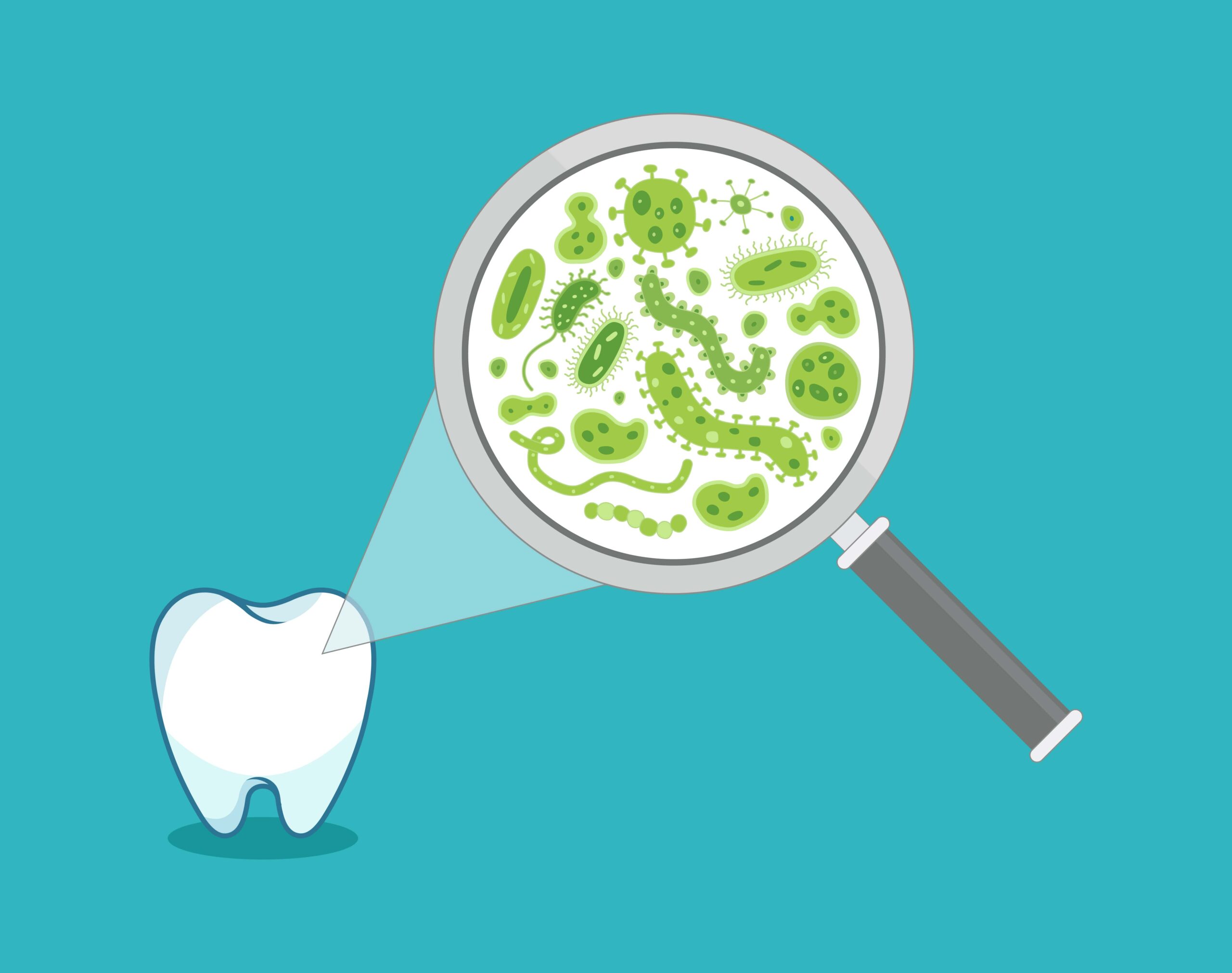 magnifying glass showing bacteria on tooth icon